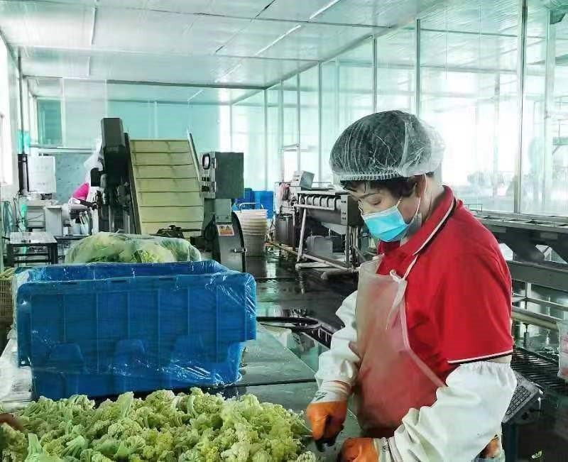 中國(guó)人壽財(cái)險(xiǎn)推出預(yù)制菜專屬定制服務(wù)——以食品安全護(hù)航產(chǎn)業(yè)高質(zhì)量發(fā)展