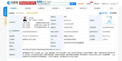 芯擎科技引領(lǐng)7nm車規(guī)級(jí)芯片創(chuàng)新，專利布局助力數(shù)據(jù)處理與存儲(chǔ)效能提升